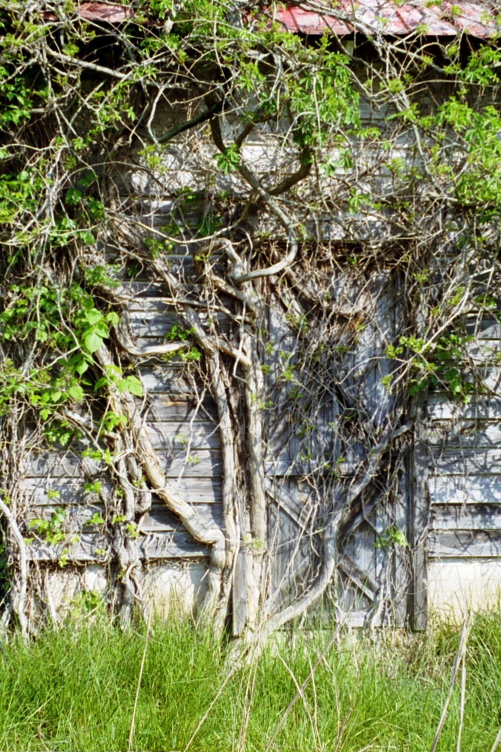 Door of Mystery 0507